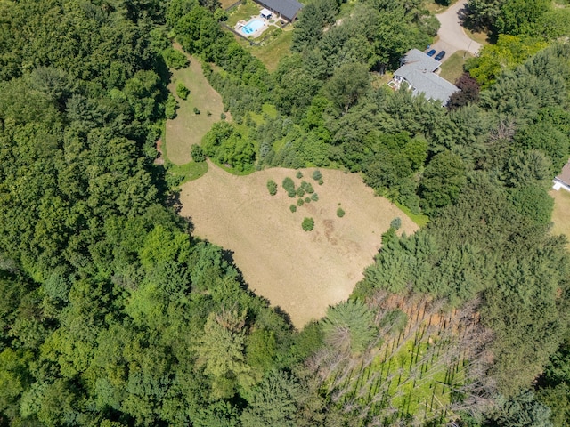 461 19th St, Otsego, MI 49078 - aerial overview of property's location with a forest