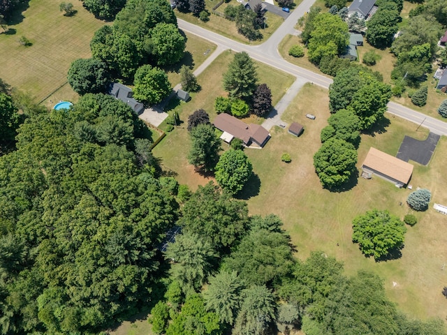 461 19th St, Otsego, MI 49078 - aerial view of property's location