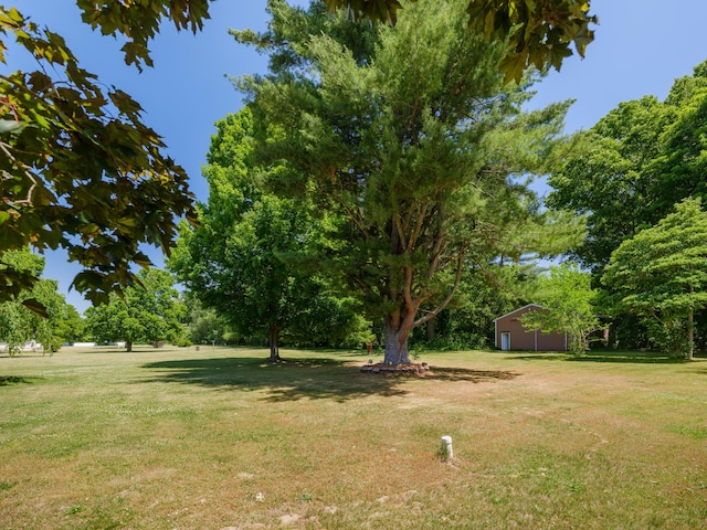 461 19th St, Otsego, MI 49078 - view of grassy yard with an outbuilding