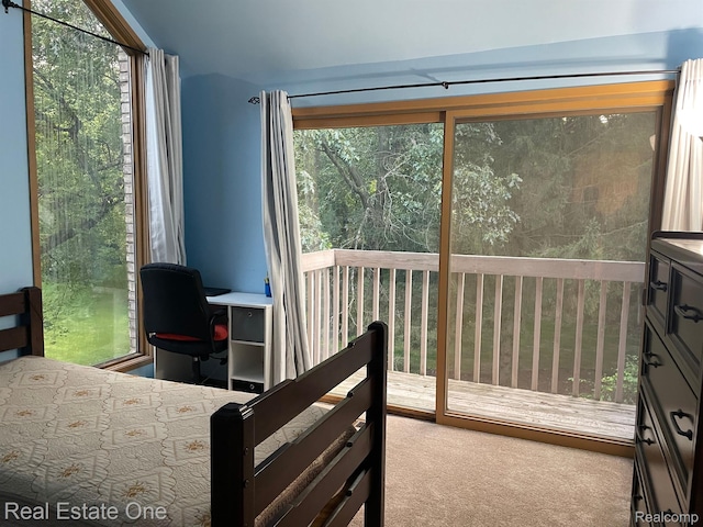 2862 Foxfire Dr, Milford, MI 48380 - photo 47