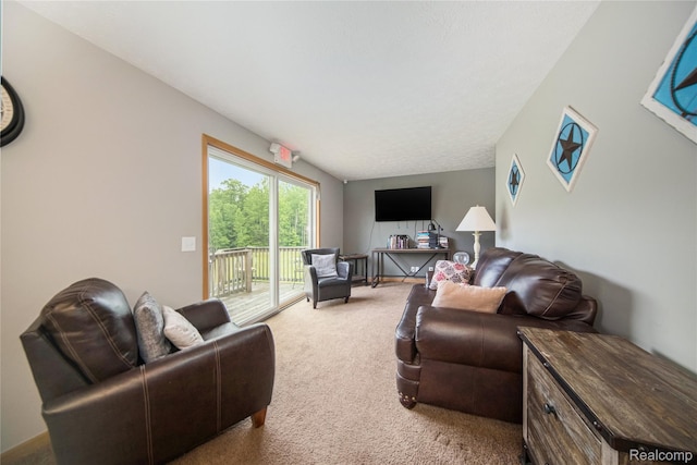 355 W Mannsiding Rd, Harrison, MI 48625 - photo 58