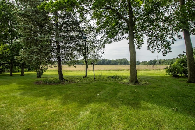 5546 Hickory Cir, Flushing, MI 48433 - view of green lawn