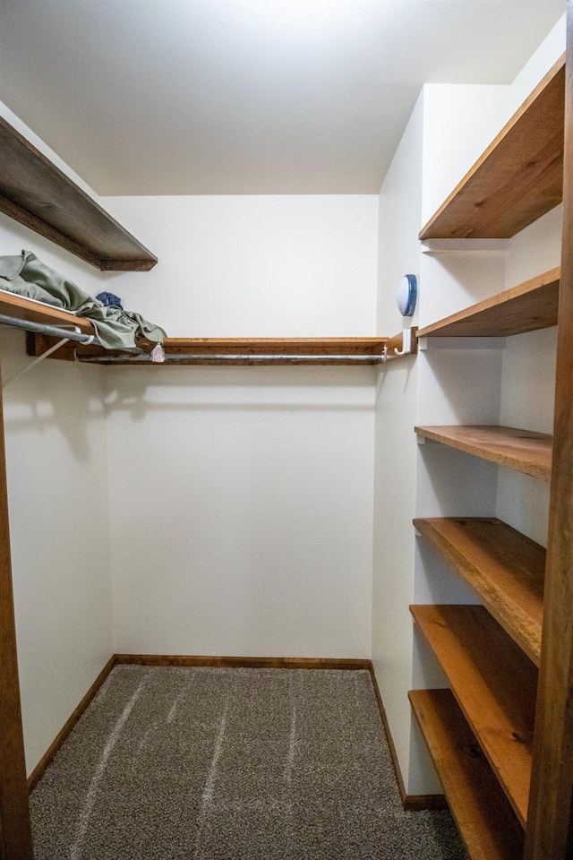 5546 Hickory Cir, Flushing, MI 48433 - walk in closet with carpet flooring