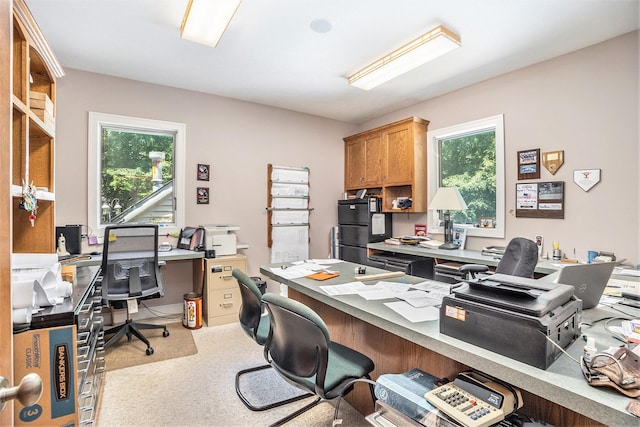 17055 Forest Lake Dr, West Olive, MI 49460 - photo 33