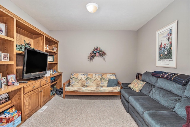 17055 Forest Lake Dr, West Olive, MI 49460 - photo 50