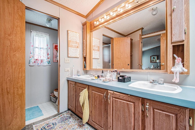 1950 S 13th, Niles, MI 49120 - full bathroom with ornamental molding, double vanity, a textured ceiling, and a shower with shower door