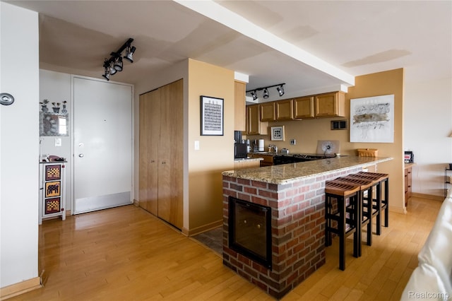 1300 E Lafayette St Unit 2503, Detroit, MI 48207 - kitchen with track lighting, light wood-type flooring, and a peninsula