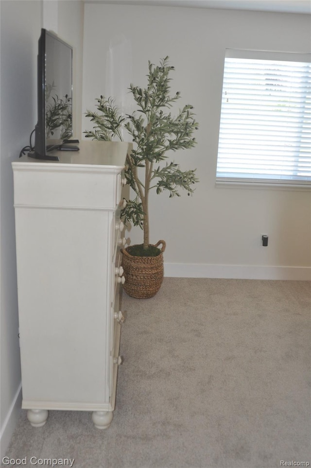 1530 Parmenter Ct Unit 18, Petoskey, MI 49770 - detailed view of baseboards and carpet flooring