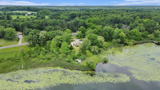 8445 N Meridian Rd, Pleasant Lake, MI 49272 - photo 23
