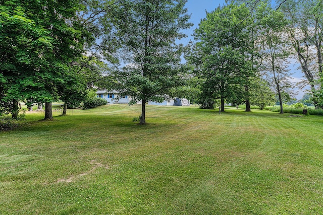356 Riverview Dr, Plainwell, MI 49080 - view of grassy yard