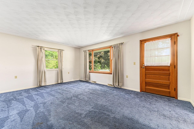 356 Riverview Dr, Plainwell, MI 49080 - unfurnished room with carpet flooring and a textured ceiling