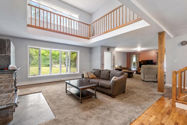 9719 King Rd, Spring Arbor, MI 49283 - living area with a high ceiling and hardwood / wood-style floors