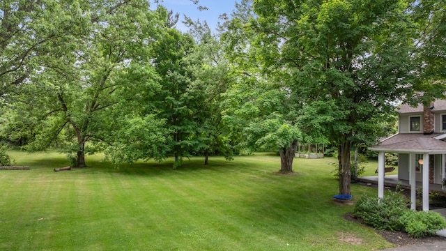 9719 King Rd, Spring Arbor, MI 49283 - view of green lawn