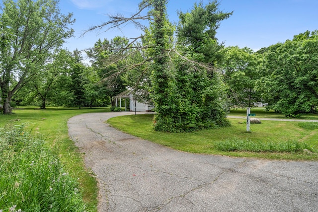 9719 King Rd, Spring Arbor, MI 49283 - view of asphalt driveway
