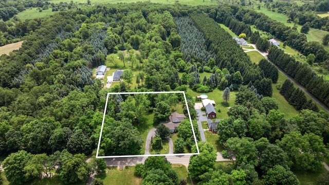 9719 King Rd, Spring Arbor, MI 49283 - view of rural area featuring a heavily wooded area and property boundaries highlighted