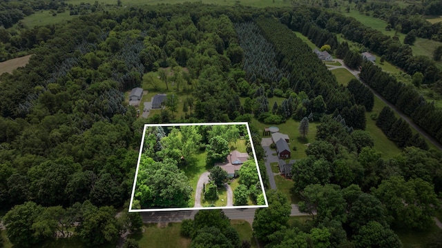 9719 King Rd, Spring Arbor, MI 49283 - aerial view of property's location featuring property boundaries highlighted