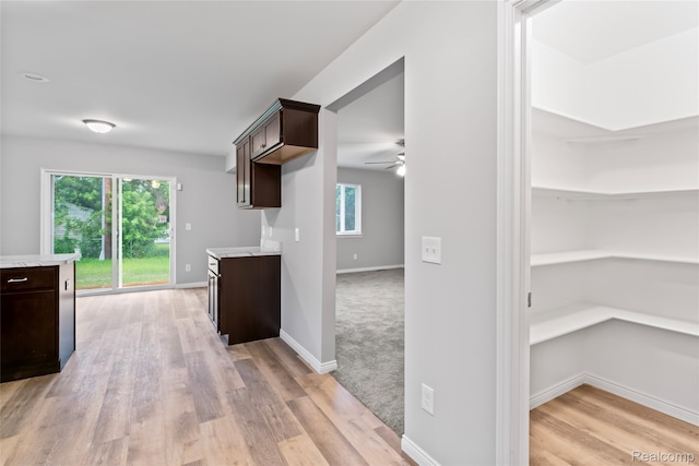 23230 Bolam Ave, Warren, MI 48089 - photo 17