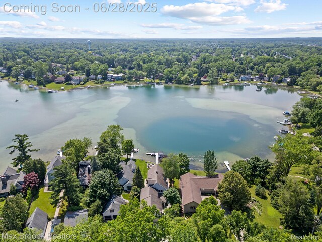 6847 Alden Dr, West Bloomfield, MI 48324 - aerial view of residential area featuring a large body of water and a forest