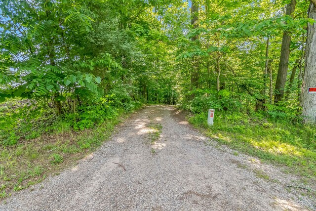 1391 Lake Wilson Rd S, Hillsdale, MI 49242 - photo 37