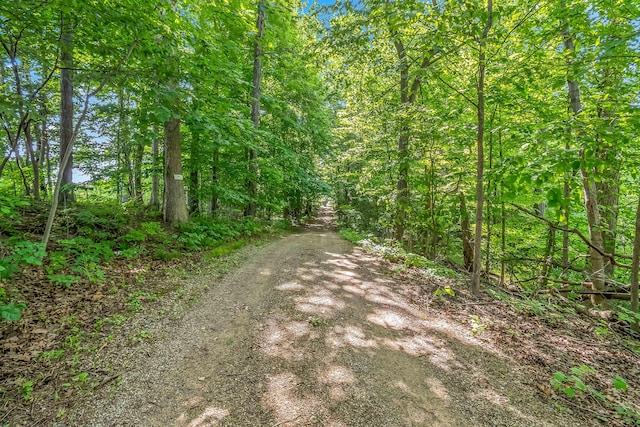 1391 Lake Wilson Rd S, Hillsdale, MI 49242 - photo 2