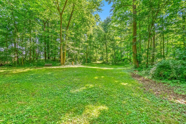 1391 Lake Wilson Rd S, Hillsdale, MI 49242 - photo 39