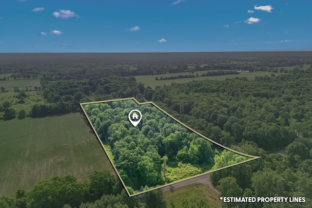 1391 Lake Wilson Rd S, Hillsdale, MI 49242 - photo 6