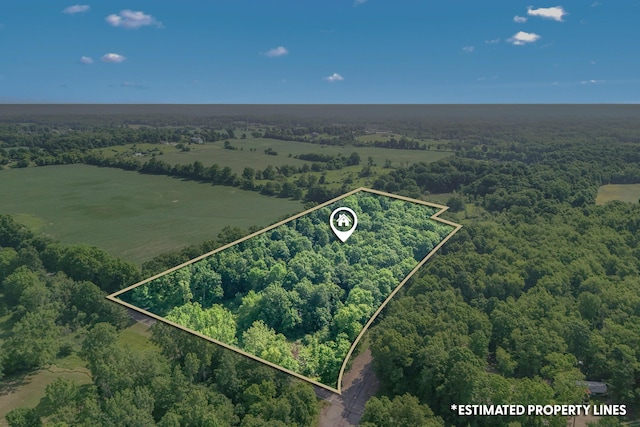 1391 Lake Wilson Rd S, Hillsdale, MI 49242 - photo 28