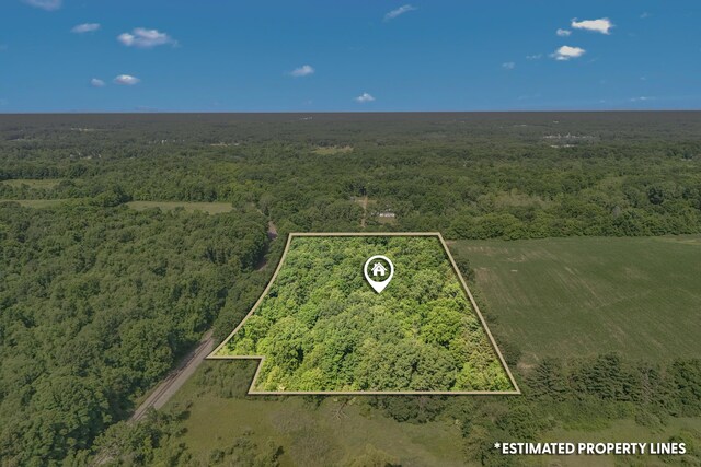 1391 Lake Wilson Rd S, Hillsdale, MI 49242 - photo 36