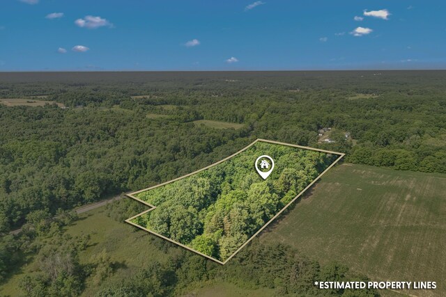 1391 Lake Wilson Rd S, Hillsdale, MI 49242 - photo 34