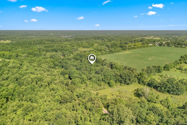 1391 Lake Wilson Rd S, Hillsdale, MI 49242 - photo 31