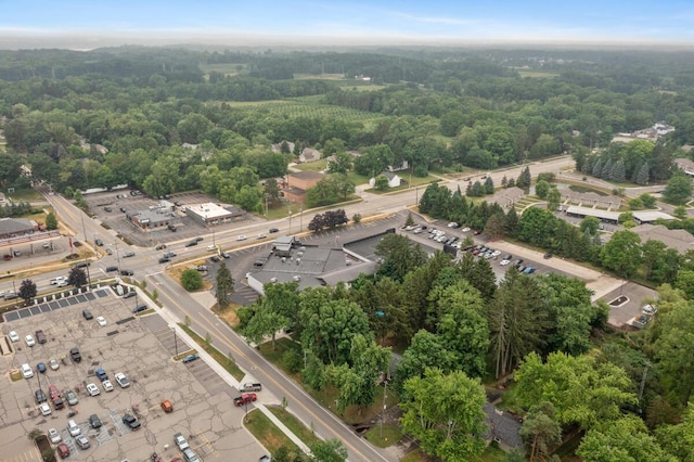 437 Collindale Ave NW, Grand Rapids, MI 49504 - aerial view of property and surrounding area with a heavily wooded area