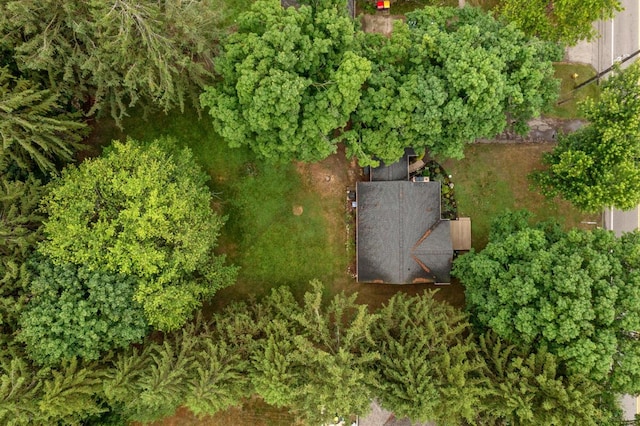 437 Collindale Ave NW, Grand Rapids, MI 49504 - drone / aerial view