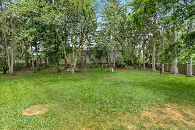 437 Collindale Ave NW, Grand Rapids, MI 49504 - view of yard