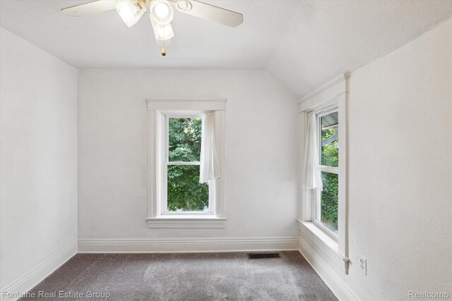 1 Grand Blvd, Battle Creek, MI 49015 - spare room featuring healthy amount of natural light, dark carpet, and vaulted ceiling