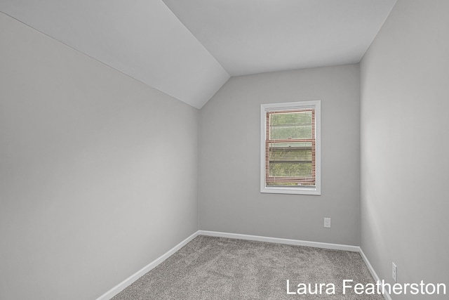 1119 White Ave NW, Grand Rapids, MI 49504 - additional living space with vaulted ceiling and carpet