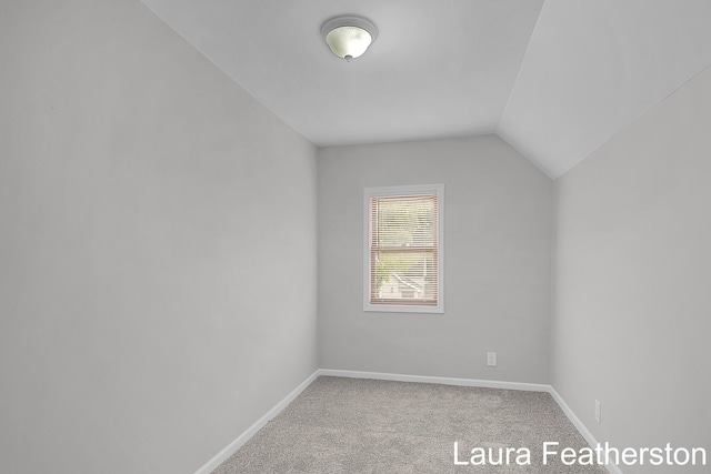 1119 White Ave NW, Grand Rapids, MI 49504 - additional living space with carpet and lofted ceiling