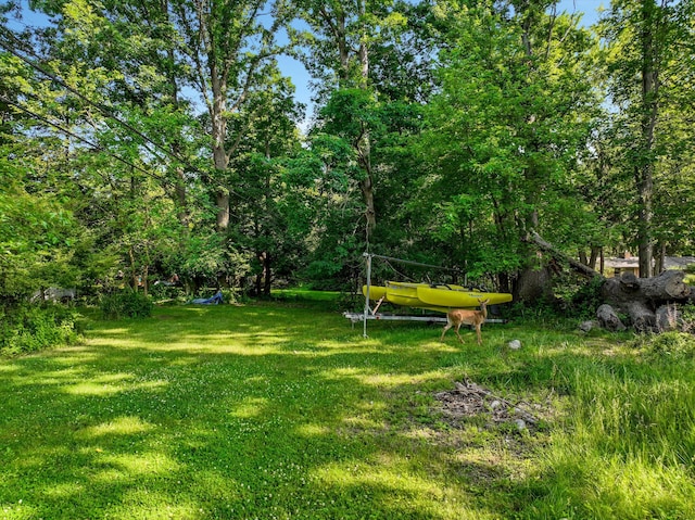 23158 Ranch Hill Dr E, Southfield, MI 48033 - view of green lawn