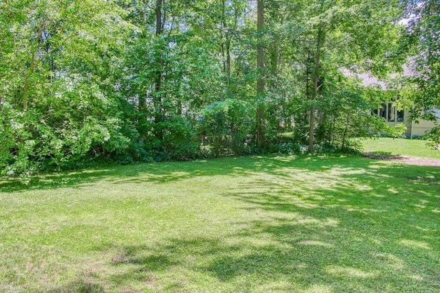 279 Ardelean Dr, Owosso, MI 48867 - view of green lawn