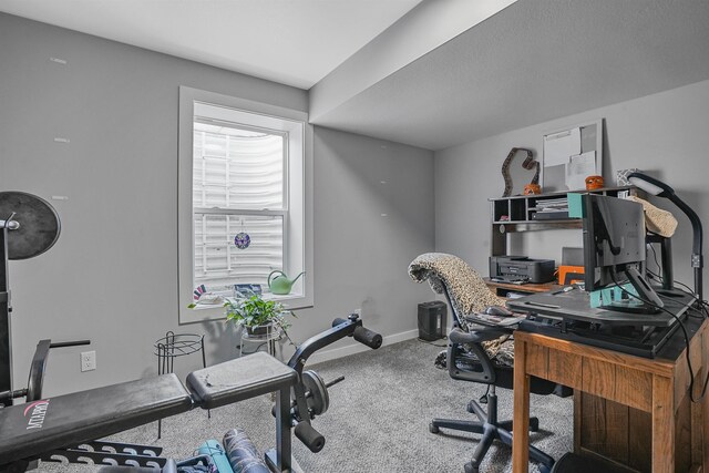 870 Seneca Pl, Cadillac, MI 49601 - photo 20
