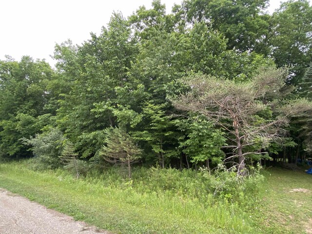 Mallard Dr, Alger, MI 48610