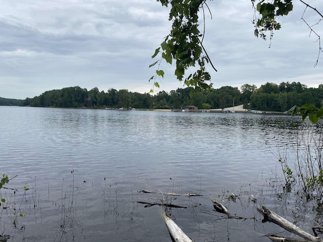 Mallard Dr, Alger, MI 48610