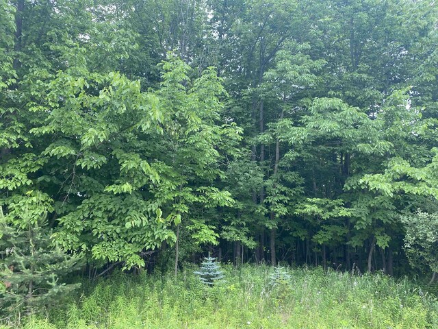 Mallard Dr, Alger, MI 48610