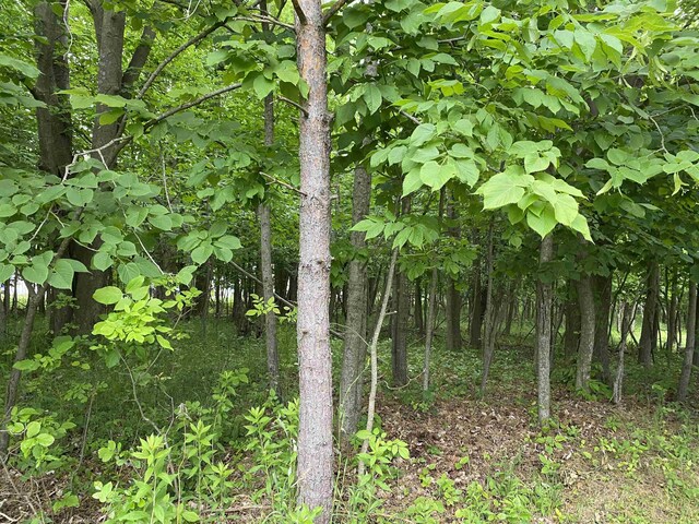 Mallard Dr, Alger, MI 48610