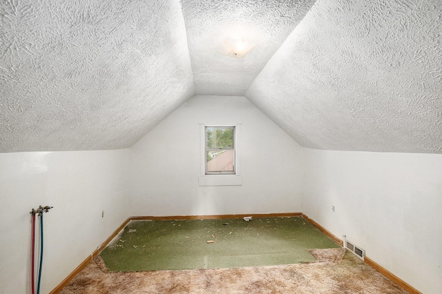 863 E Wilcox Ave, White Cloud, MI 49349 - additional living space featuring a textured ceiling, lofted ceiling, and carpet flooring