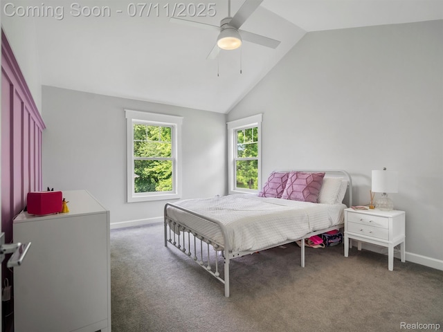 24505 Sherbeck Dr, Clinton Township, MI 48036 - photo 42