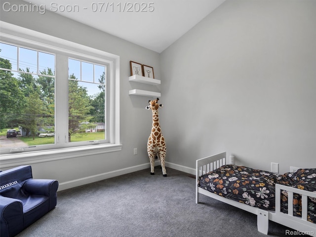 24505 Sherbeck Dr, Clinton Township, MI 48036 - photo 47