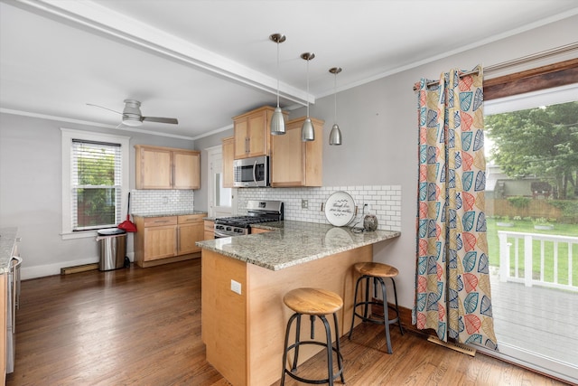 313 Moross Rd, Grosse Pointe Farms, MI 48236 - kitchen featuring stainless steel appliances, tasteful backsplash, a peninsula, dark wood-type flooring, and crown molding