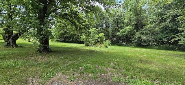 30127 Wells St, Dowagiac, MI 49047 - view of yard