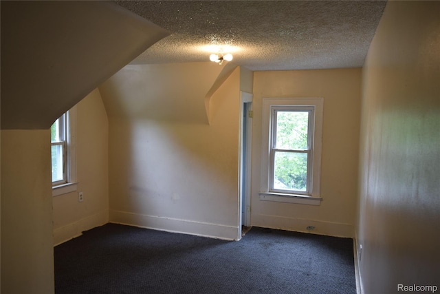 316 W Rankin St, Flint, MI 48505 - additional living space featuring plenty of natural light, dark colored carpet, a textured ceiling, and vaulted ceiling