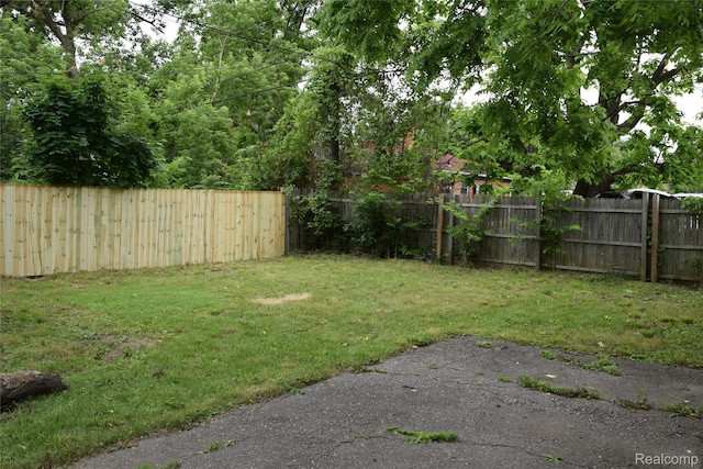 316 W Rankin St, Flint, MI 48505 - view of fenced backyard